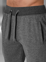 Pánske kraťasy grafitové OZONEE JS/XW07/5Z